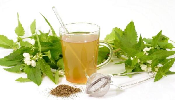 Травы для похудения