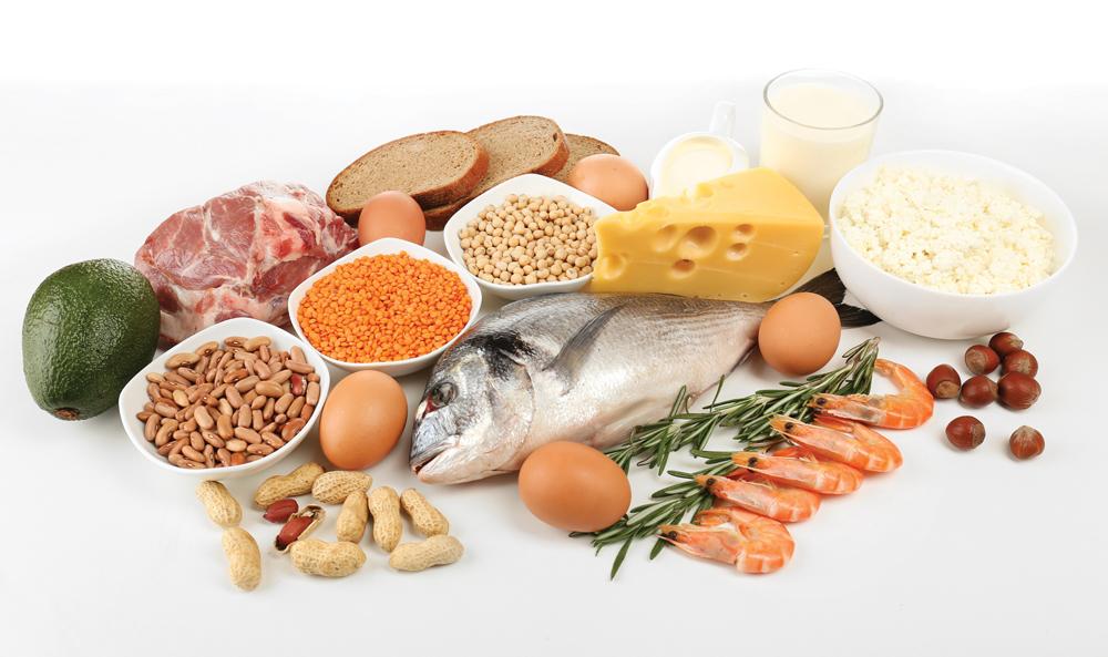 Особенности белковой диеты