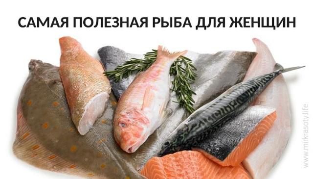Важность рыбы