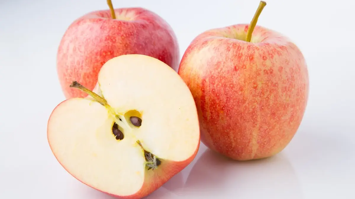 Безопасное употребление семян яблок