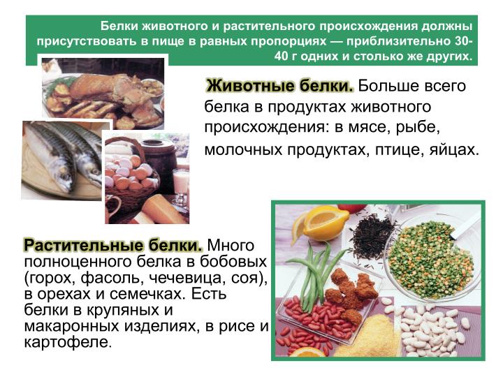 Белковые продукты