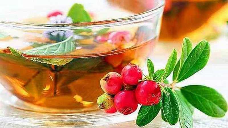 Чай из листьев барбариса для похудения