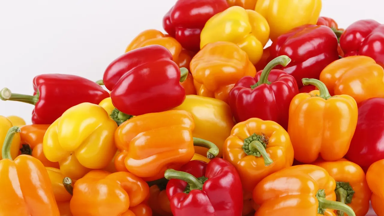 Болгарский перец