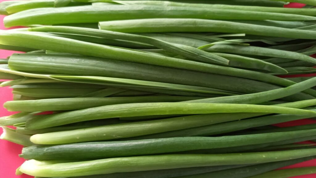 Свежее перо зеленого лука
