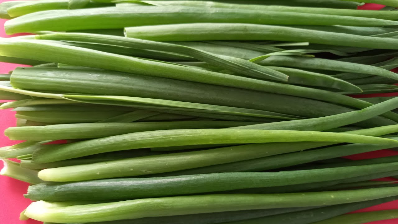 Свежее перо зеленого лука