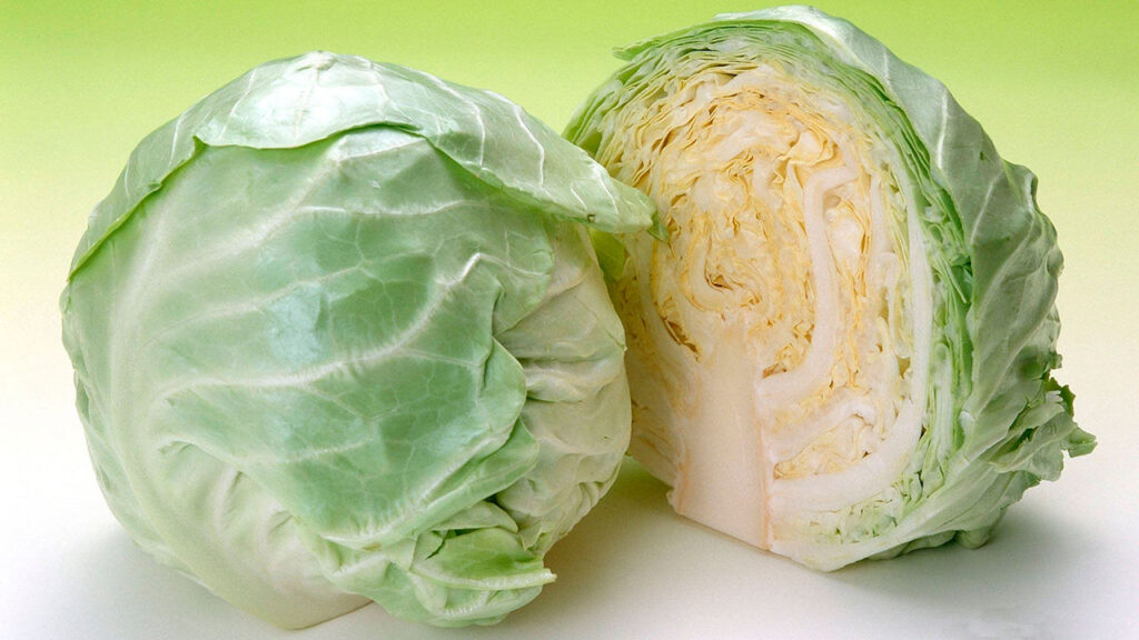 Свежая белокочанная капуста